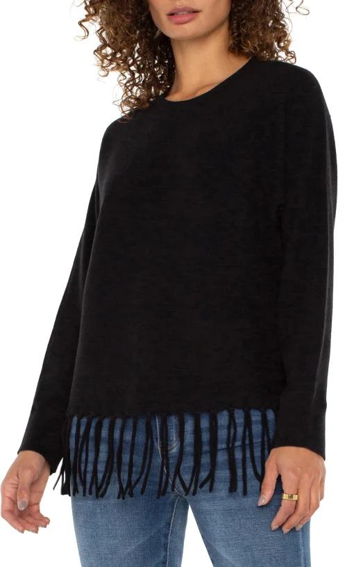 LONG SLEEVE SEAMLESS SWEATER